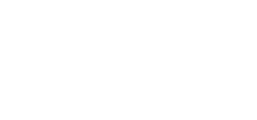Blinken OSA Archívum